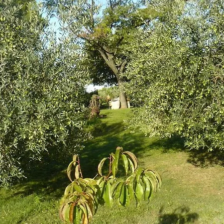 Bed & Breakfast Les Oliviers De Claron *